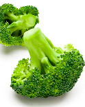 IQF Broccoli from 폴란드 supplied by RUN-CHŁODNIA we Włocławku Sp. z o.o. - Florets 신선 브로콜리 꽃