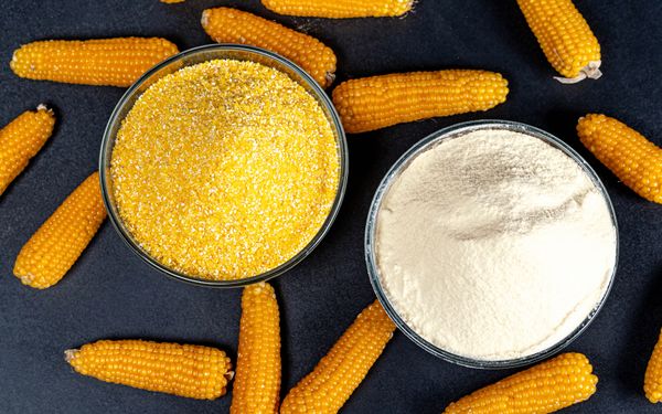 Corn Meal from 르완다 supplied by Minoterie Import & Export (MINIMEX) - Yellow Corn 옥수수 가루 및 거친 가루