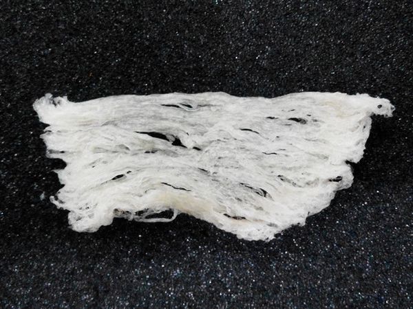 Stripe Nest from Malaysia supplied by Fuciphagus Agritech Sdn. Bhd. - Cleaned Edible Nest