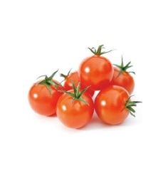 FRESH TOMATO from 스페인 supplied by S.A.T. INVER - Vine Varieties (=Truss) 신선 토마토