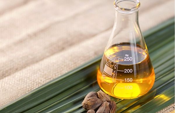 Palm Oil from 에콰도르 supplied by Alco Palma - RBD (=Refined, Bleached, and Deodorized) RBD 팜유