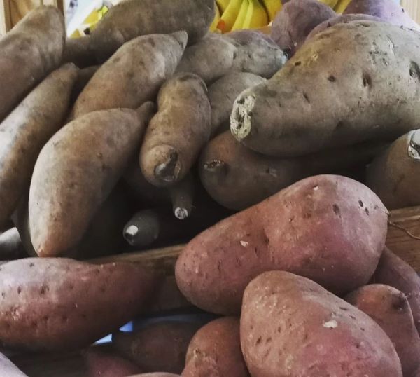 Sweet Potato from 미국 supplied by Oceana Natural Foods - Purple Skin 고구마