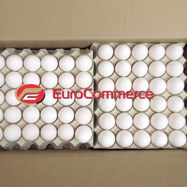 Fresh white chicken eggs from Ukraine supplied by Euro-Commerce LTD - Fresh Chicken Egg