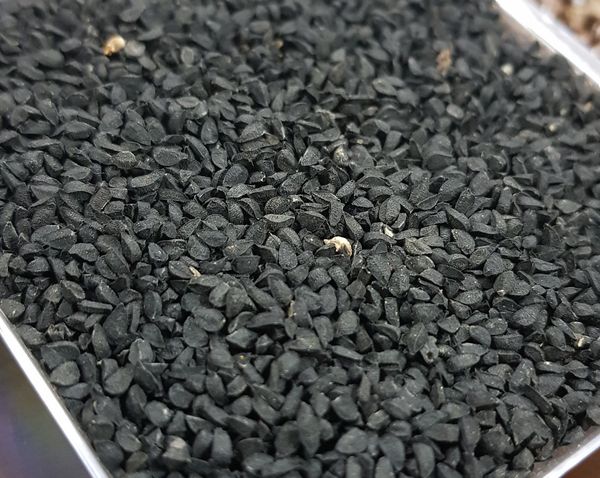 Black Cumin Seeds ( Nigella Sativa ) from 에티오피아 supplied by Yso Import-export - Conventional 혼합 향신료 상품