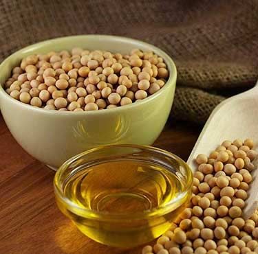 Soybean Oil from Germany supplied by Bressmer & Francke (GmbH & Co.) KG - Refined Refined Soybean Oil