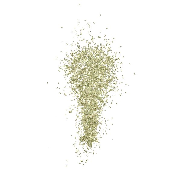 Fennel Seed from Turkiye supplied by ALTUNTAŞ BAHARAT SAN.VE TİC.AŞ . - Dried Fennel Seed