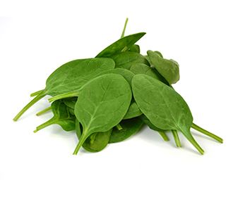 Spinach from 스페인 supplied by BEHR IBERIA, S.L.U. - Green 신선 시금치