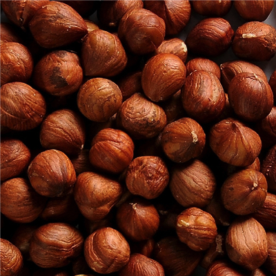 Raw Hazelnut Kernels from 튀르키예 supplied by Boxon Food Co. - 갈색 생 헤이즐넛