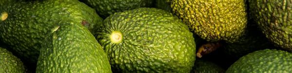 Avocado from 프랑스 supplied by RG France - Green 신선 아보카도