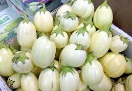 GARDEN EGG from Uganda supplied by KIKEZ AGROLINE LTD - Conventional Eggplant