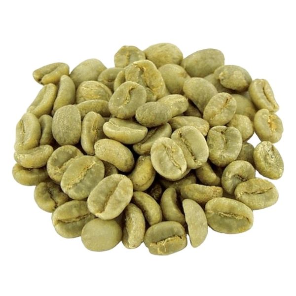 Arabica Specialty Coffee Quang Tri Green Beans G1, S18 from 베트남 supplied by K Agriculture - S18 (=Screen 18) 생원두