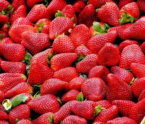 Strawberry from 알제리 supplied by Fruior - Puree 딸기 페이스트 및 퓨레