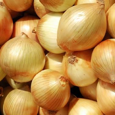 Onion from China supplied by Hebei Shenhua Agricultural Development Co., Ltd. - Whole Fresh Onion