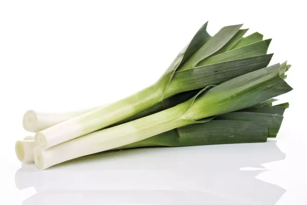 Leeks from Germany supplied by Düpmann GmbH & Co. KG - Cut Leek