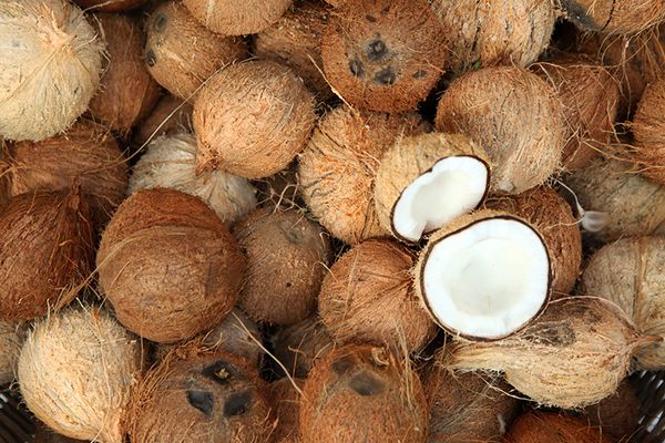 Coconuts from 네덜란드 supplied by Denimpex - Whole 기타 신선 코코넛