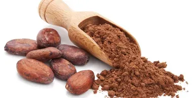 Raw Cacao Powder from 미국 supplied by Palm Organic, LLC - Raw 코코아 파우더