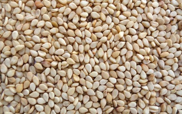 Sesame Seed from 에티오피아 supplied by Gagarii Trading PLC - Unhulled 참깨