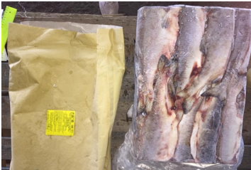 Pink Salmon from Russia supplied by LLC RPK Northern - Frozen - Raw Frozen Salmon