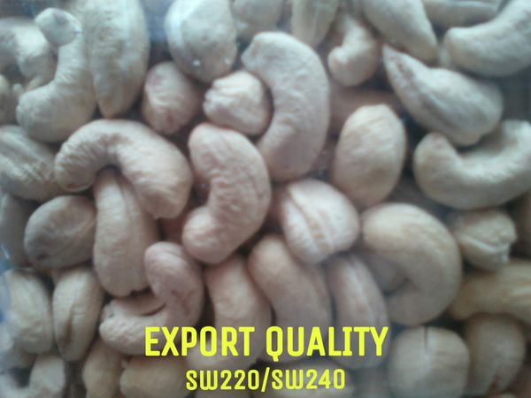 Raw cashew nut from Benin supplied by GLORIA ALLÉLUIA IMPORT EXPORT - Broken Raw Cashew Nut