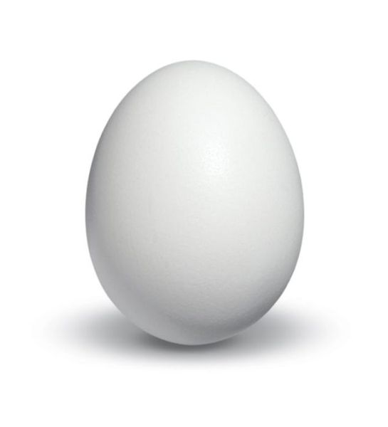 White Chicken Egg from 폴란드 supplied by Fermy Drobiu Woźniak Sp. z o.o. - In Shell 달걀