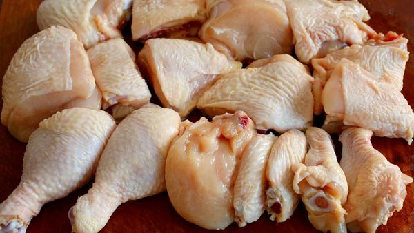 Fresh Chicken Meat from 브라질 supplied by The Four Import. Export Ltda - Frozen 냉동 미절단 닭고기