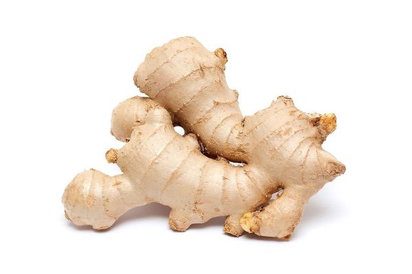 Ginger from 인도네시아 supplied by PT Green Spices Indonesia - Raw 통생강