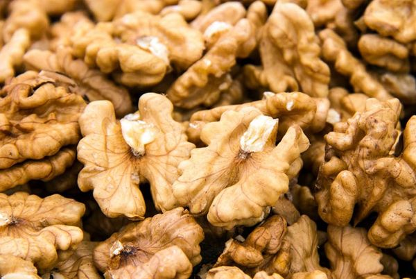 Organic Walnut from 독일 supplied by Ortlieb Organic GmbH - Shelled (=Kernel) 생호두