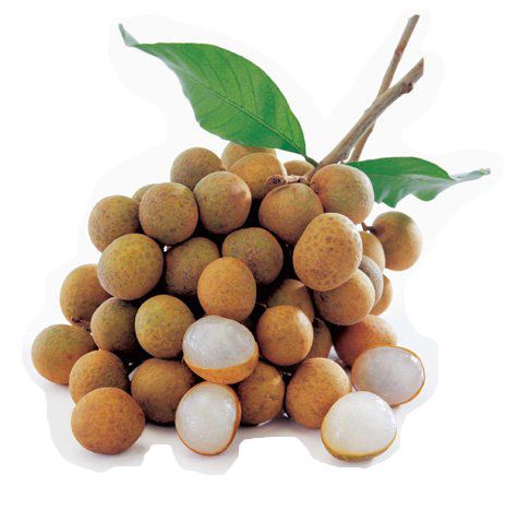 Fresh Longan from 태국 supplied by Tt Inter Fruit Co., Ltd. - Fresh (=Chilled) 신선 용안