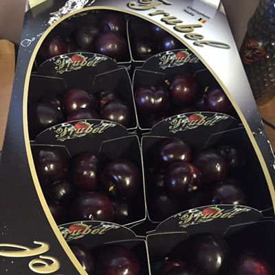 Plum from 벨기에 supplied by LTV - LIMBURGSE TUINBOUWVEILING - Dark Red 신선 자두