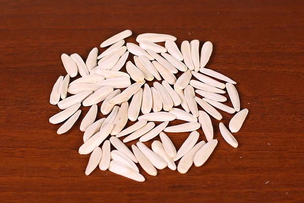 Sunflower Seed from 튀르키예 supplied by Oktay Tarim - Unhulled 해바라기 씨