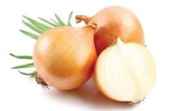 Bulb Onion from 러시아 supplied by LLC Agrofirma KRiMM - Bulb 신선 양파