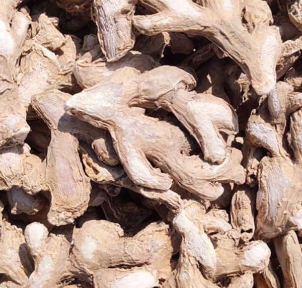 Dried Ginger from 인도 supplied by Al Hakam Ginger - Whole 통생강