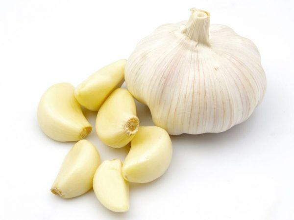 Garlic from 우크라이나 supplied by ErdKraft - 봄 마늘 - 바이올렛 신선 마늘