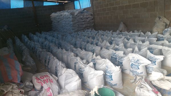 Parboiled Rice from 가나 supplied by Divine Brainz Ghana Limited - As per customer's request 쌀