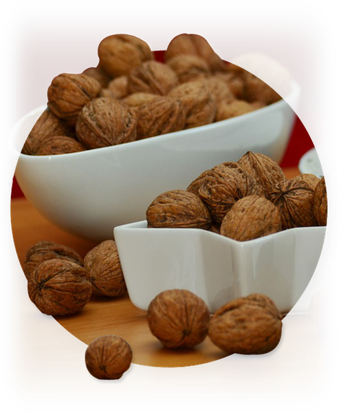 Walnut Kernel from 미국 supplied by Pacific Coast Sales - 호두 알맹이