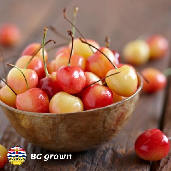 Fresh Cherry from Canada supplied by Freshpoint Canada - Whole Fresh Sweet Cherry