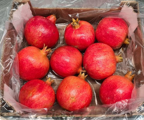Fresh Pomegranate from 네덜란드 supplied by Four season fruit supply - 빨간 과육 신선 석류