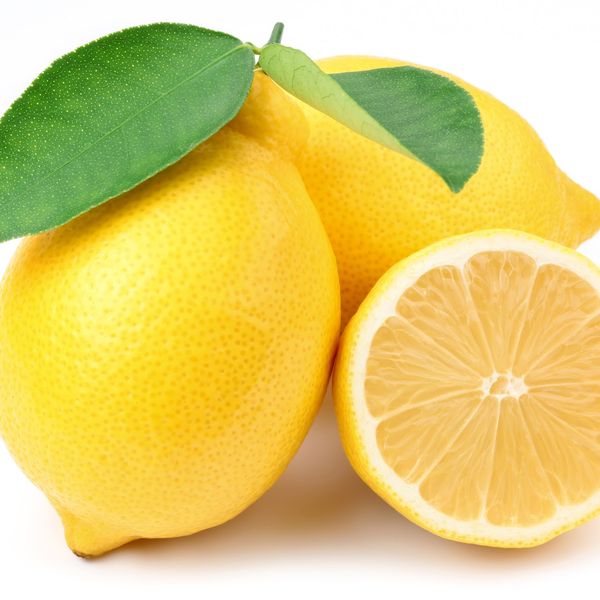 Lemon from 이집트 supplied by El Roda for Agricultural and Animals Development - Yellow 신선 레몬