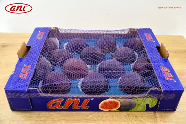 Black fig from 튀르키예 supplied by Anı Tarım Fresh Fruits - Black Bursa 신선 무화과