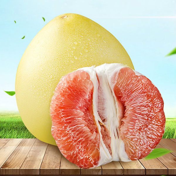 Red honey pomelo from China supplied by Xiamen Sino Orchard Industry Co. Ltd - Yellow Skin Fresh Pomelo