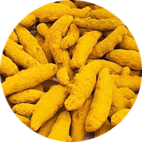 Turmeric from 아랍 에미리트 연합국 supplied by Omega Spices Trading Co. - Yellow (=Light Yellow=Bright Yellow=Deep Yellow) 튜메릭