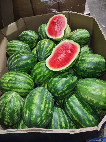 Watermelon from United States supplied by Chicho Boys Fruit Market - Red Flesh Fresh Watermelon