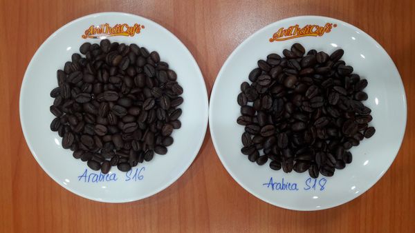 Roasted Coffee Beans from 베트남 supplied by AnThai Group Vietnam - Blended 생원두