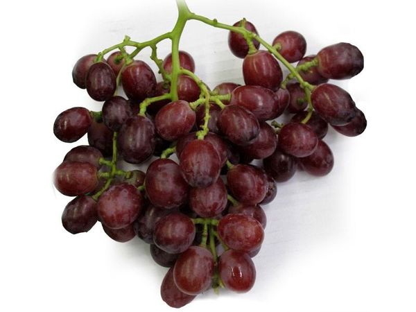 Grape - Magenta from 칠레 supplied by Exportadora BB Trading SPA - Dark Color 신선 포도