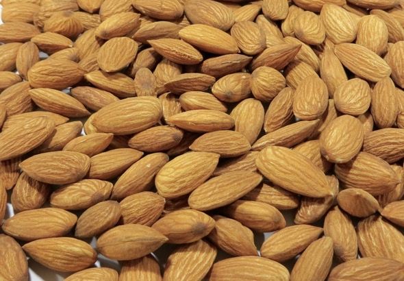 Sweet Almond Kernels from 튀르키예 supplied by Kahraman AS - Dried 아몬드 알맹이