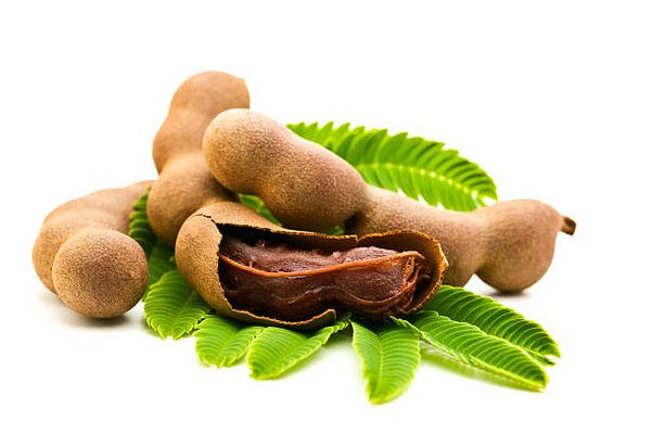 Tamarind from 태국 supplied by Gold Ginger Thai - Brown 신선 타마린드