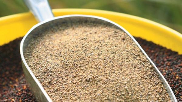 Canola Meal from 파라과이 supplied by COOPERATIVA DE PRODUCCION AGROPECUARIA NARANJAL LTDA. - Seed 카놀라박 및 유채박