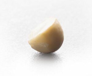 Macadamia Halves from 남아프리카공화국 supplied by Green Farms Nut Company - Shelled (=Kernel) 마카다미아 알맹이