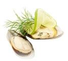 Mussel Meat from New Zealand supplied by Rassau Seafood GmbH - Small Frozen Mussel