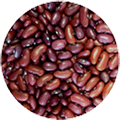 Kidney Bean from 아르헨티나 supplied by Paramerica S.A. - Light Red 말린 일반 콩